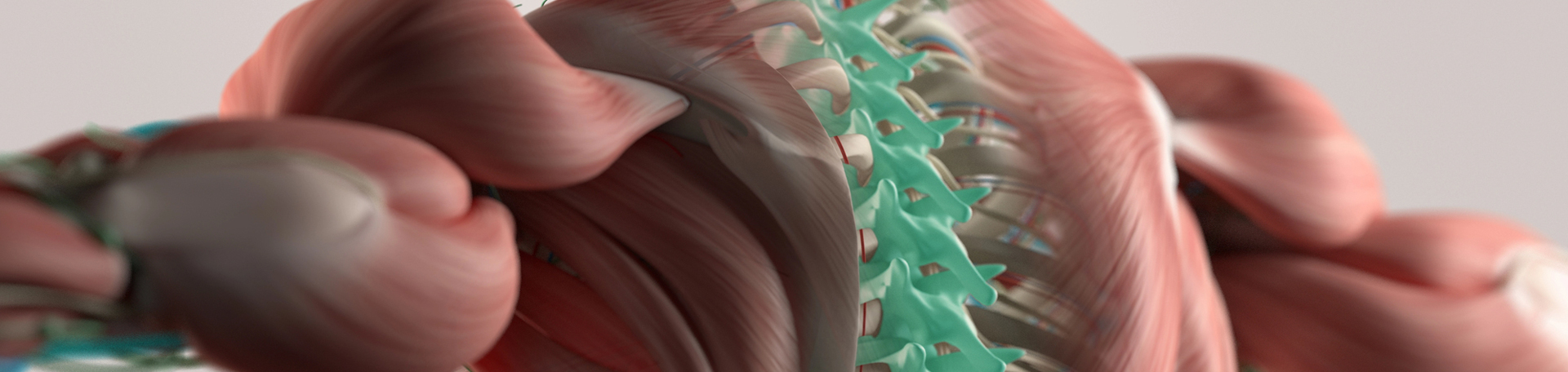 West Des Moines thoracic spine
