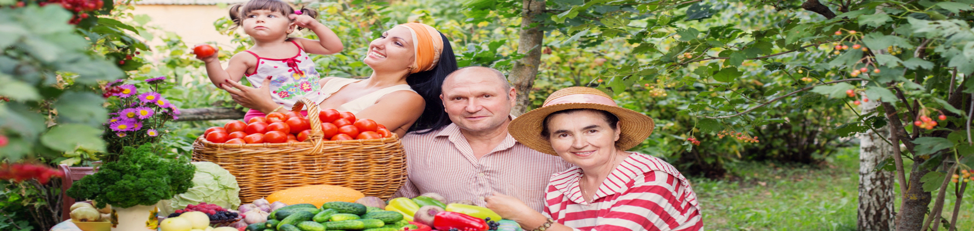  West Des Moines chiropractic summer health tips