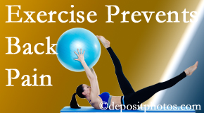 Executive Chiropractic of Iowa suggests West Des Moines back pain prevention with exercise.