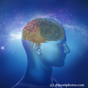 picture of a brain for cognition influenced by balance that West Des Moines chiropractic can help 