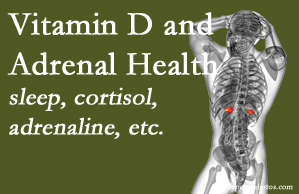 Executive Chiropractic of Iowa shares new studies about the effect of vitamin D on adrenal health and function.
